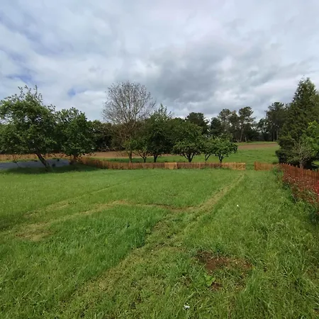 Casa Da Torreira Naturaleza Y Descanso