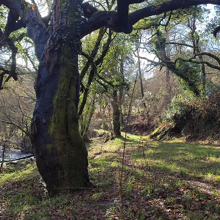 Сasa de vacaciones Casa Da Torreira Naturaleza Y Descanso