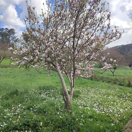 Casa Da Torreira Naturaleza Y Descanso Сasa de vacaciones