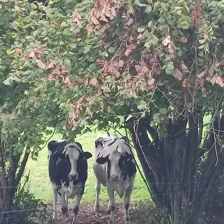Сasa de vacaciones Casa Da Torreira Naturaleza Y Descanso *